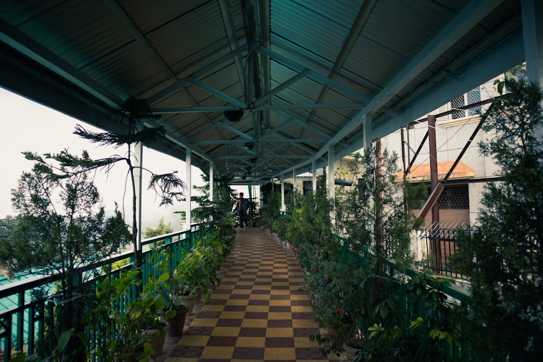 Resort luxe