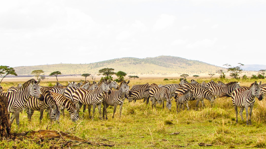 Kenya